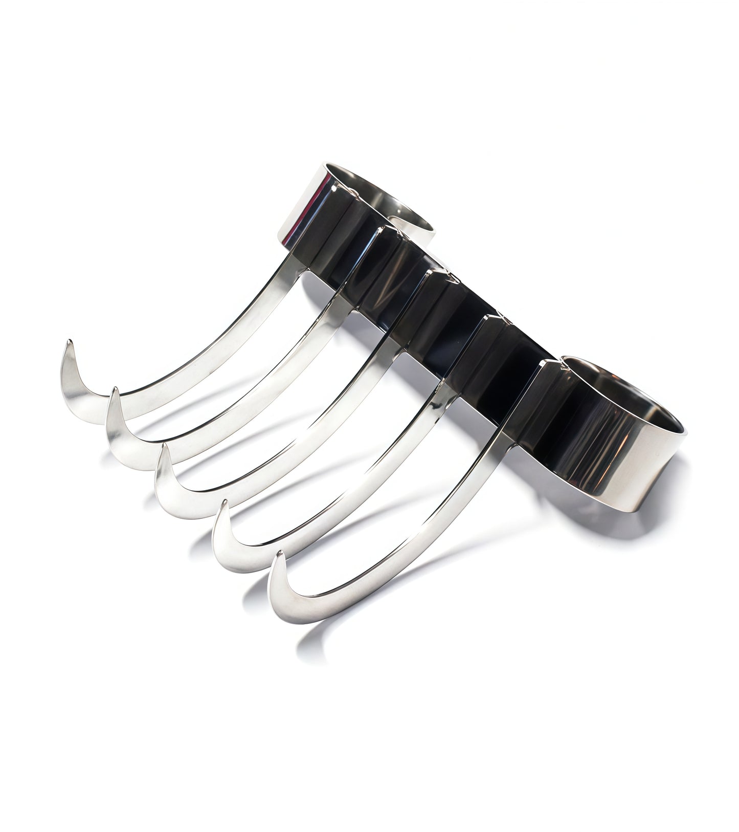 Bearclaw Scratcher with five AISI 304 SURGICAL STEEL claws polished to a mirror finish