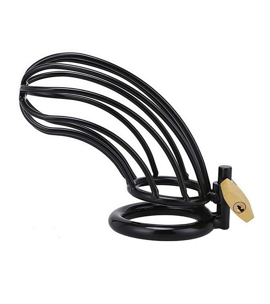 Black Bird Chastity Cage – Stainless Steel Precision Chastity Device by Perfectra Distribution