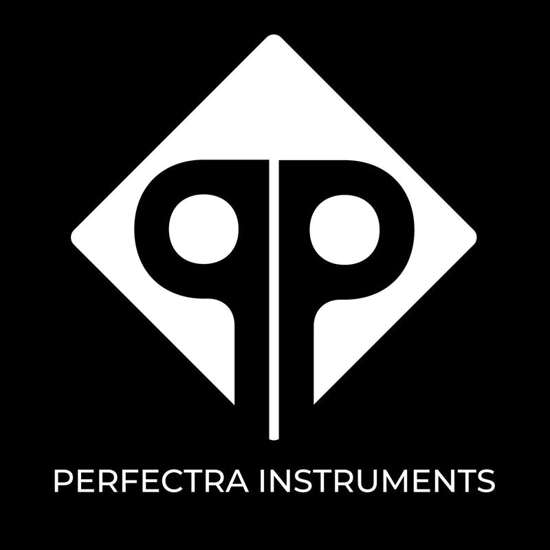 Welcome to Perfectra Instruments: Your Premier Wholesale Manufacturer and Exporter of Stainless Steel Adult Toys