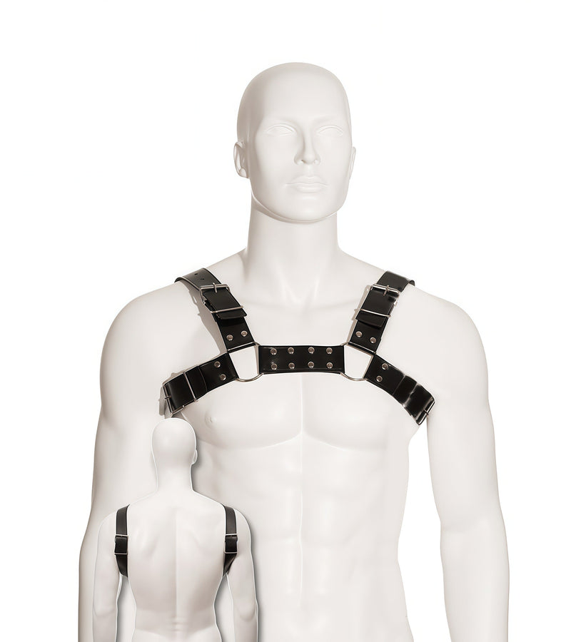 The Power and Allure of Leather Harnesses