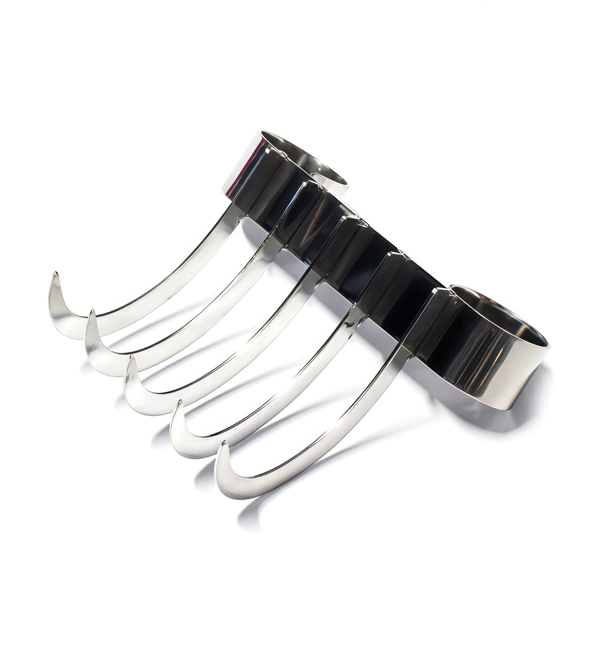 Bearclaw Scratcher – 5-Claw Stainless Steel Beast – Perfectra
