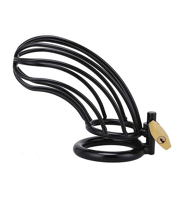 Black Bird Chastity Cage – Stainless Steel Precision Chastity Device