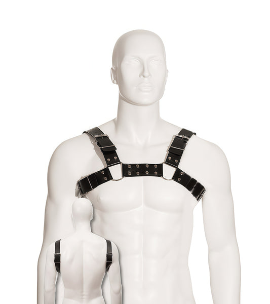 Bulldog Harness – Perfectra Distribution