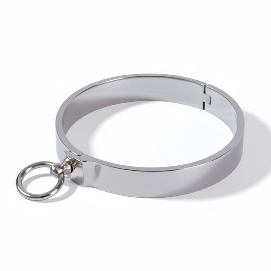 Flat Collar Lock with O-Ring — Premium BDSM Accessory by Perfectra Distribution