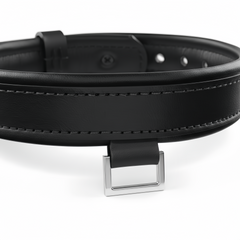 Leather Collar with Horizontal Ring – Adjustable Leather Neck Collar with Center Bar Ring