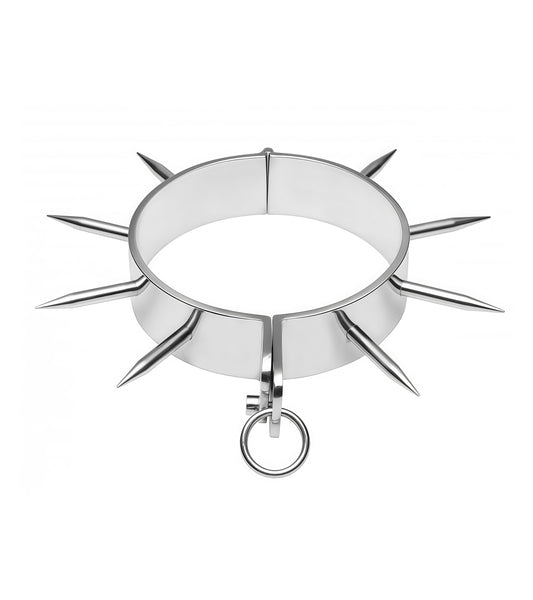 Long Spiked Collar — Heavy-Duty Stainless Steel Punk & BDSM Gear by Perfectra Distribution