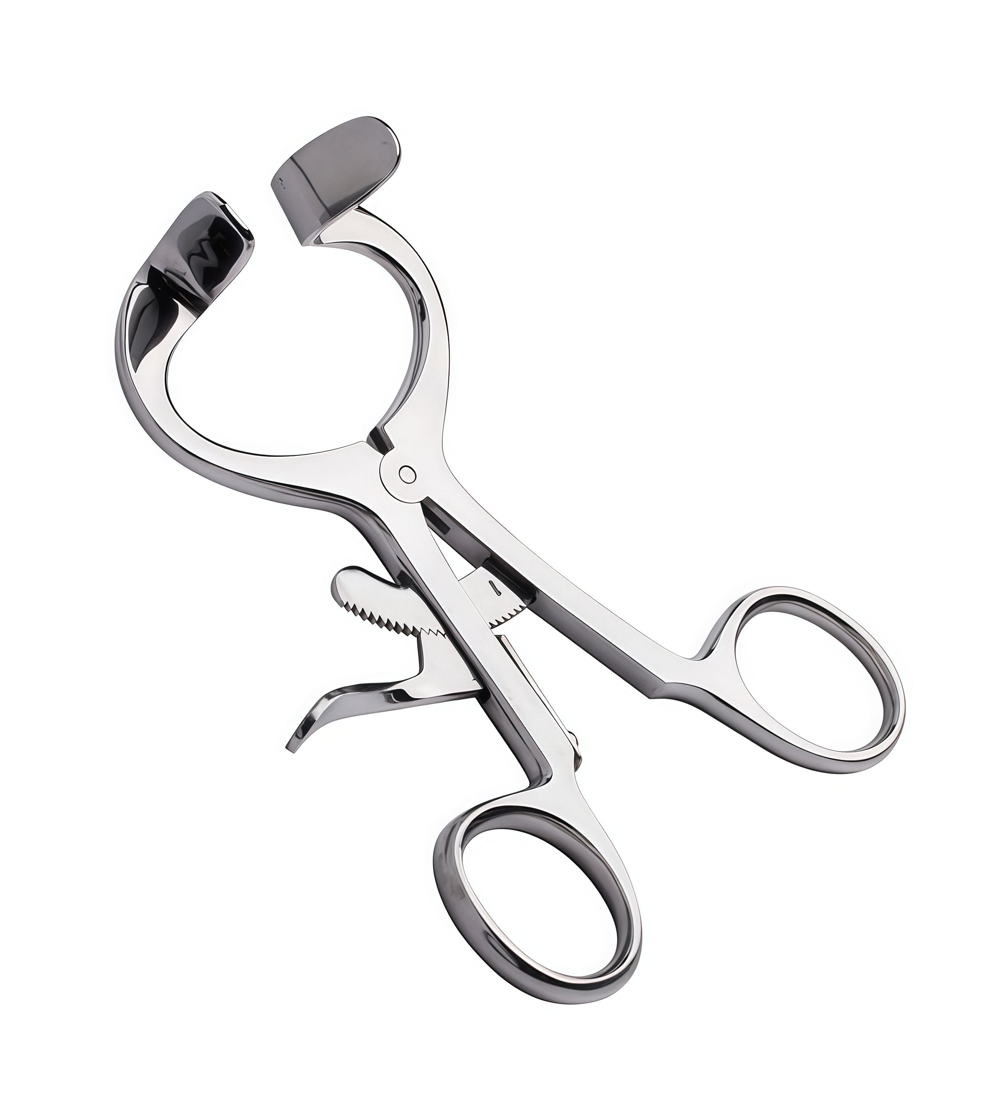 Molt Adult Mouth Gag made from      AISI 304 SURGICAL STEEL by Perfectra Distribution