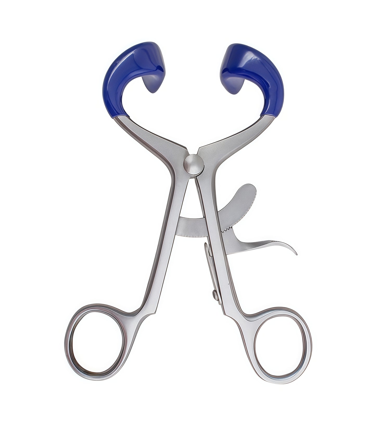 Molt Adult Mouth Gag made from      AISI 304 SURGICAL STEEL with blue and silver finish