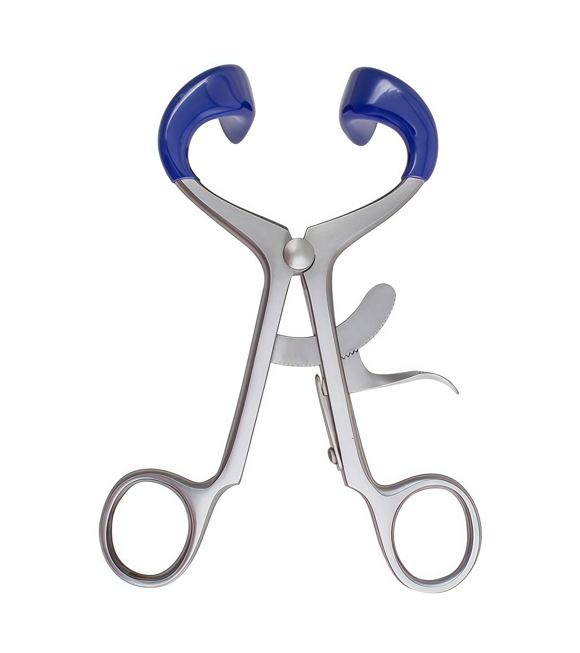 Molt Adult Mouth Gag made from      AISI 304 SURGICAL STEEL with blue and silver finish