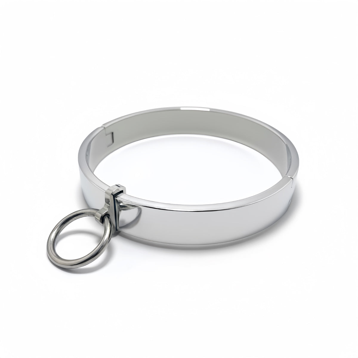 Removable Pendant Flat Collar — BDSM Accessory
