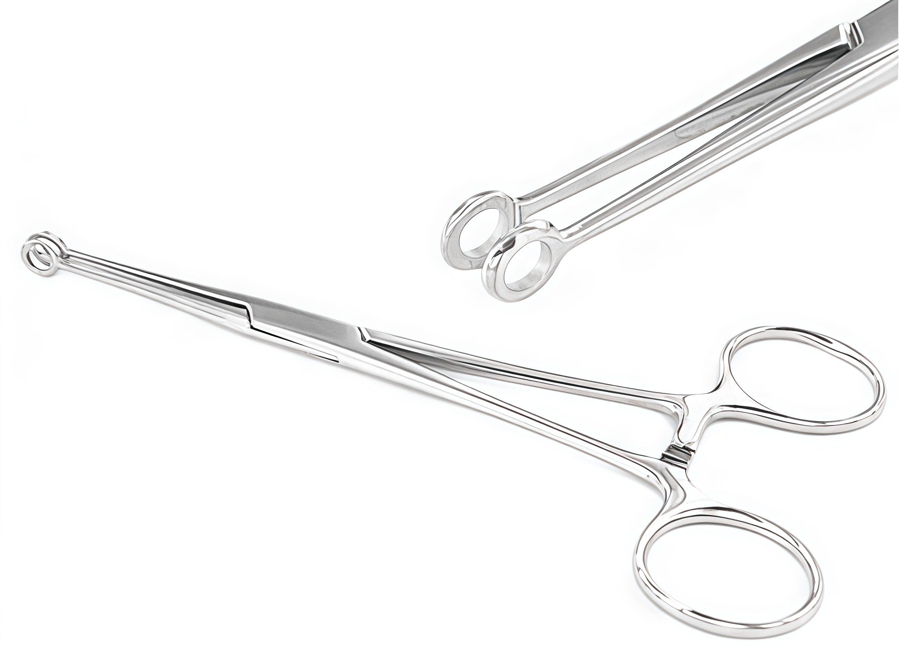Ring Forceps Premium Surgical Instrument by Perfectra Distribution