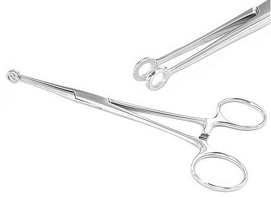 Ring Forceps — Premium Surgical Instrument by Perfectra Distribution