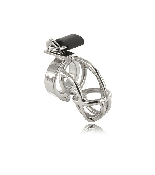 San Quentin Chastity Cage – Stainless Steel Locking Device by Perfectra Distribution