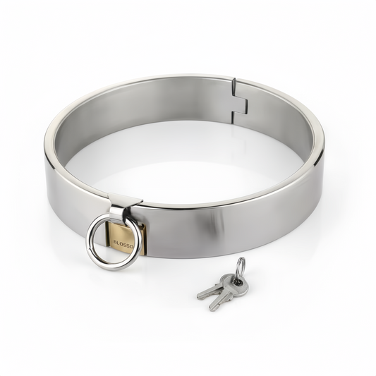 Stainless Steel Collar with Brass Lock