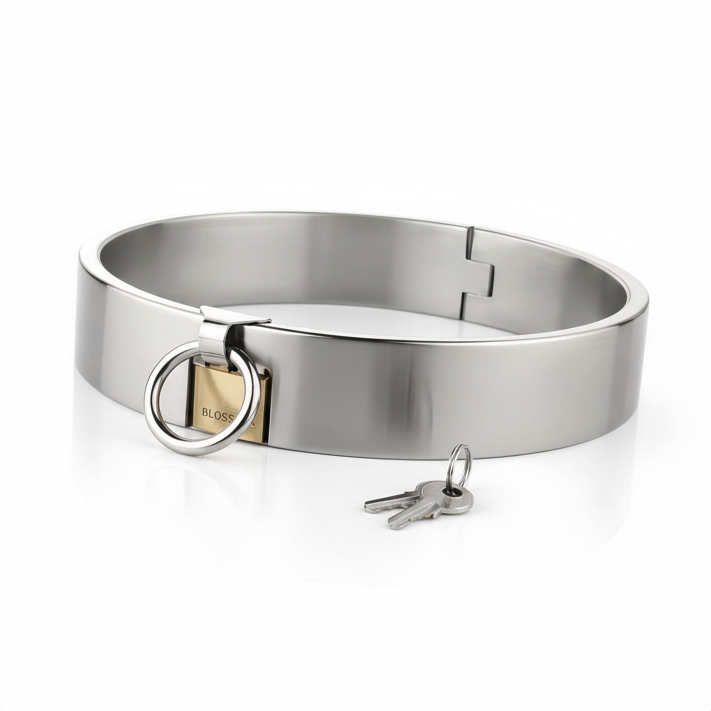     AISI 304 SURGICAL STEEL Collar with Brass Lock silver finish front angle