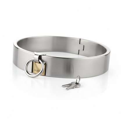     AISI 304 SURGICAL STEEL Collar with Brass Lock silver finish front angle