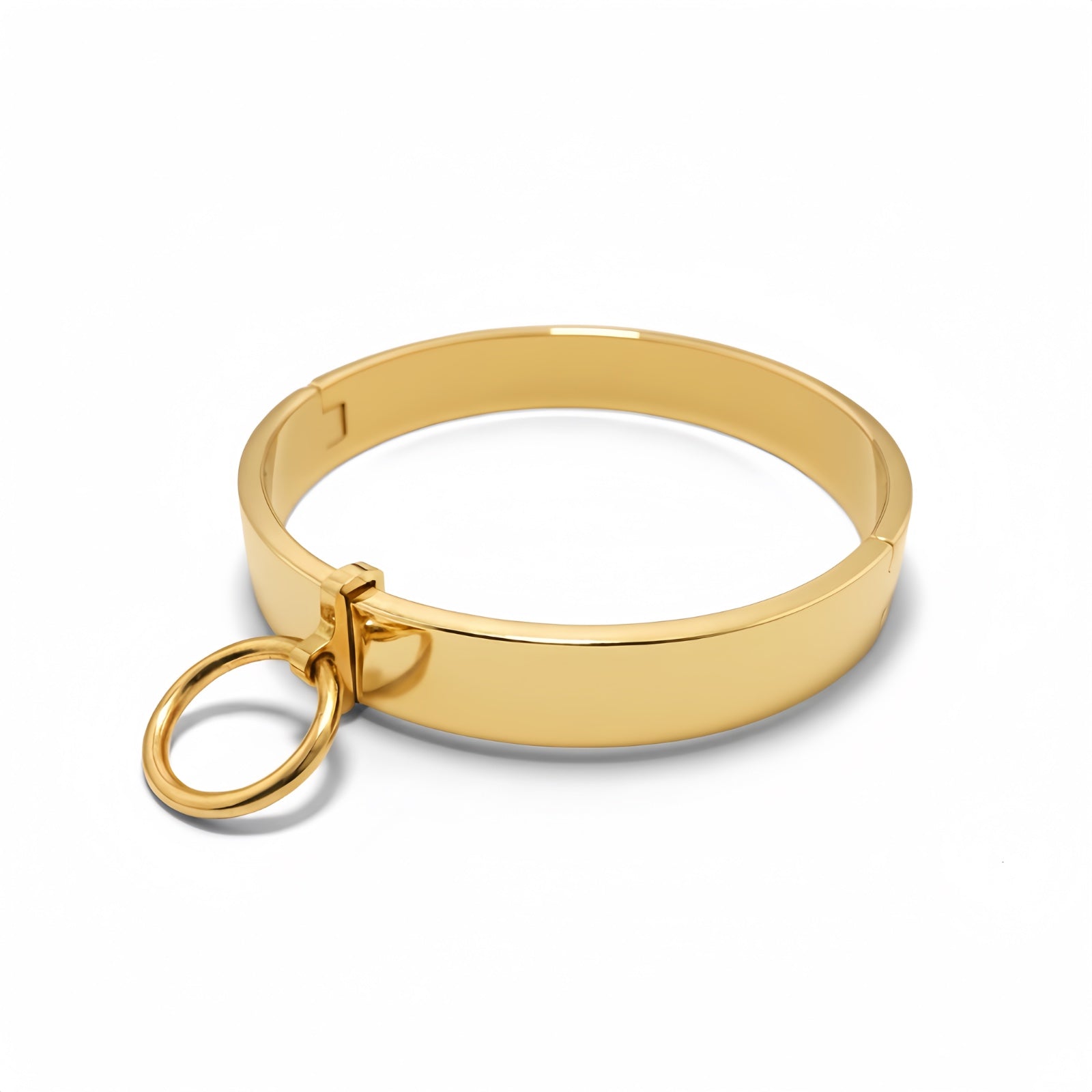     AISI 304 SURGICAL STEEL Removable Pendant Collar Gold Finish by Perfectra Distribution