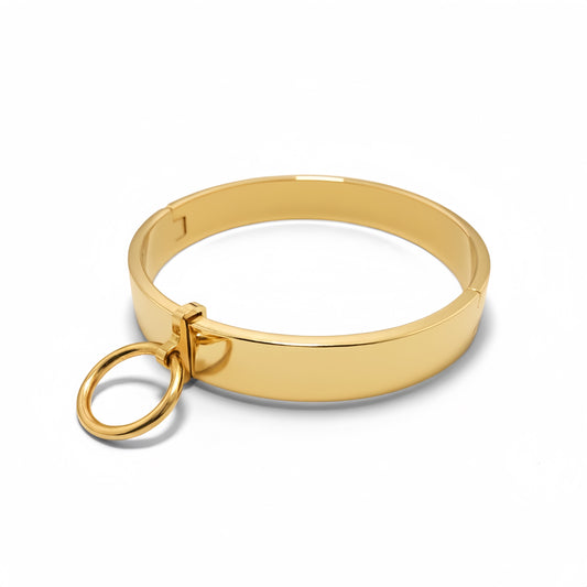 Stainless Steel Removable Pendant Collar — Classic Gold Finish, Elegant BDSM Accessory by Perfectra Distribution