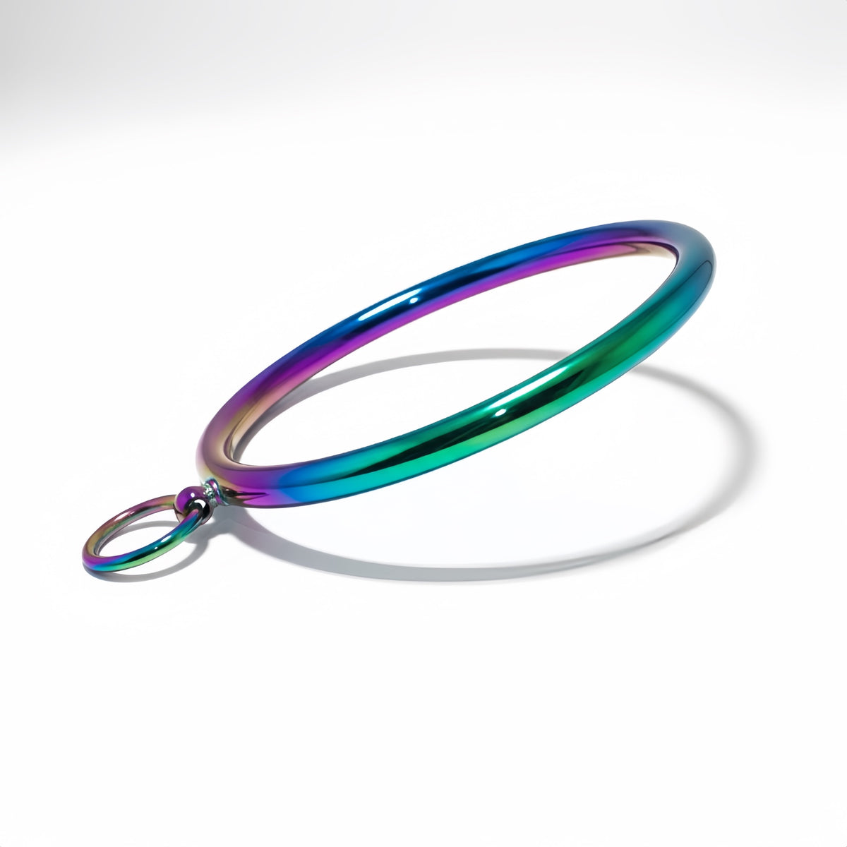 Stainless Steel Round Bar Slave Collar 10mm with O-Ring — Multicolor Edition