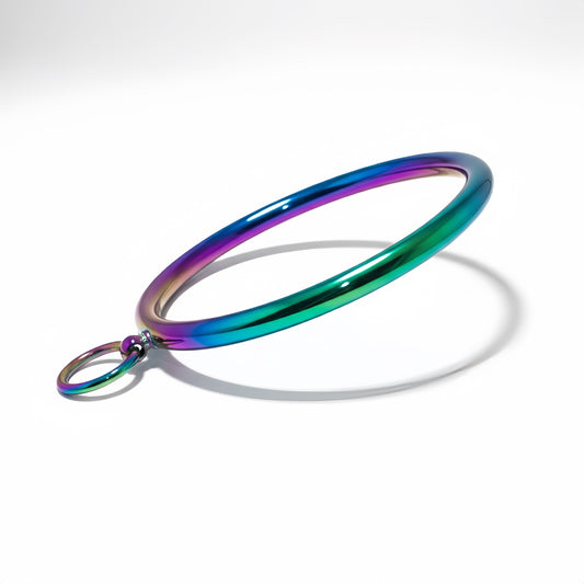 Stainless Steel Round Bar Slave Collar 10mm with O-Ring — Multicolor Edition by Perfectra Distribution