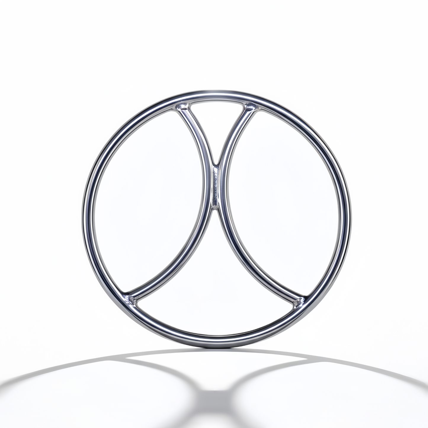     AISI 304 SURGICAL STEEL Shibari Ring Pisces from Perfectra Distribution