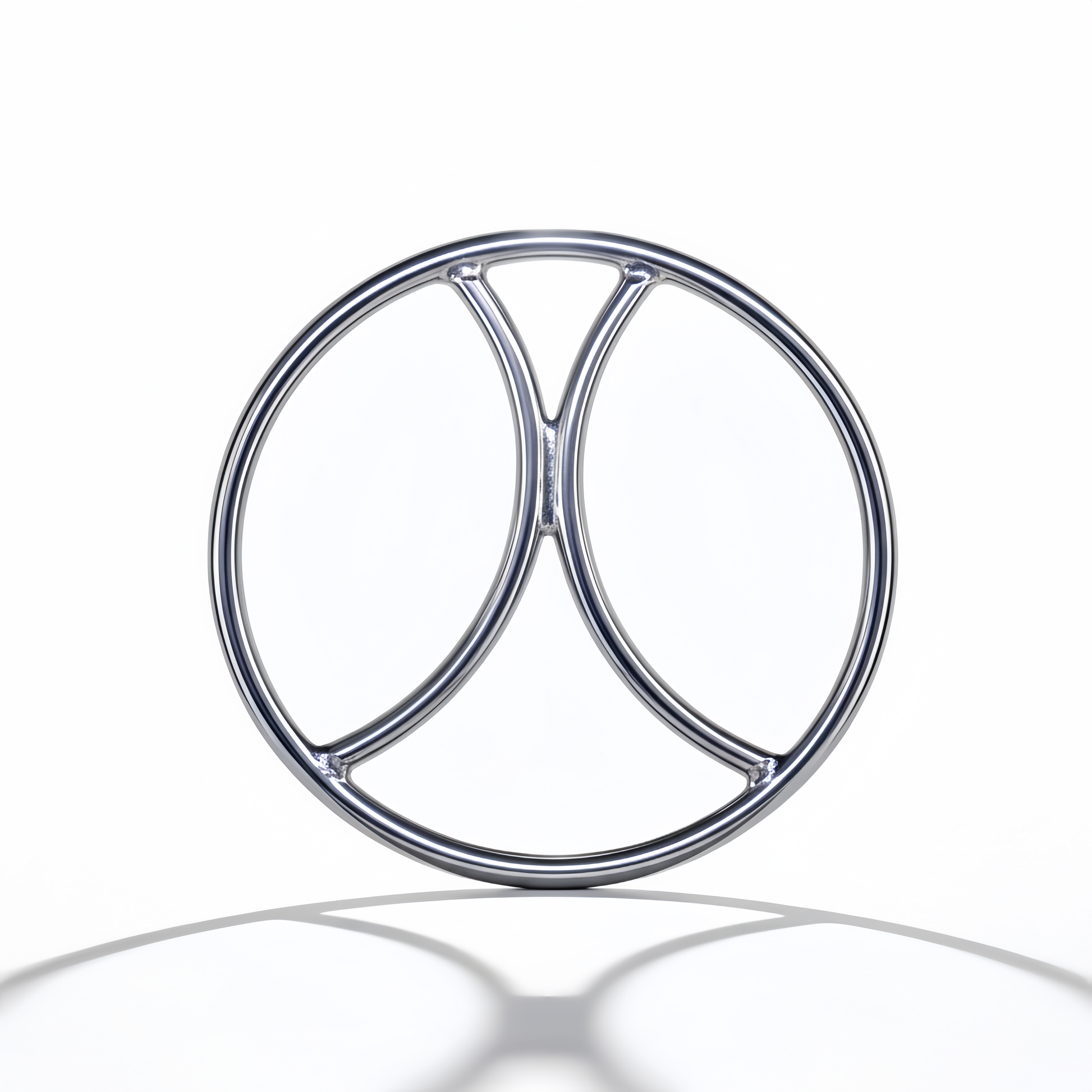     AISI 304 SURGICAL STEEL Shibari Ring Pisces from Perfectra Distribution