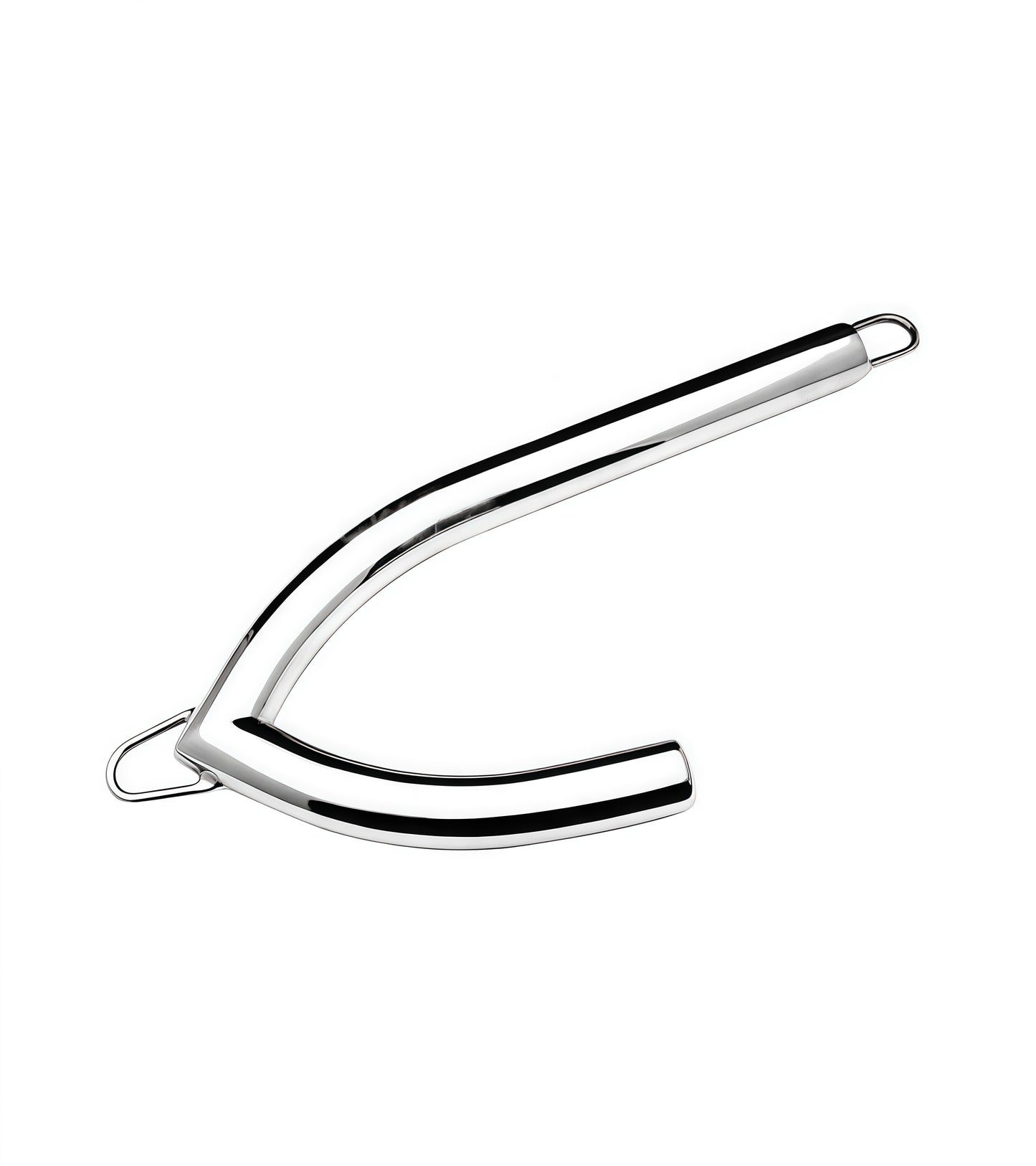 Stainless Steel Vaginal Hook — Premium BDSM Accessory by Perfectra Distribution