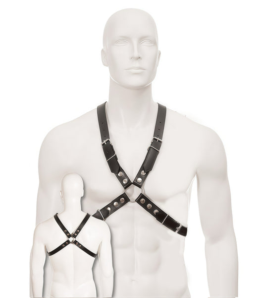 The Classic Harness by Perfectra Distribution is a premium leather harness designed for durability and style. Crafted from thick, genuine leather with Stainless Steel hardware, this harness delivers a secure and adjustable fit.