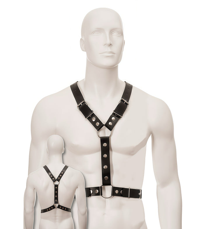Y Chest Harness – Perfectra