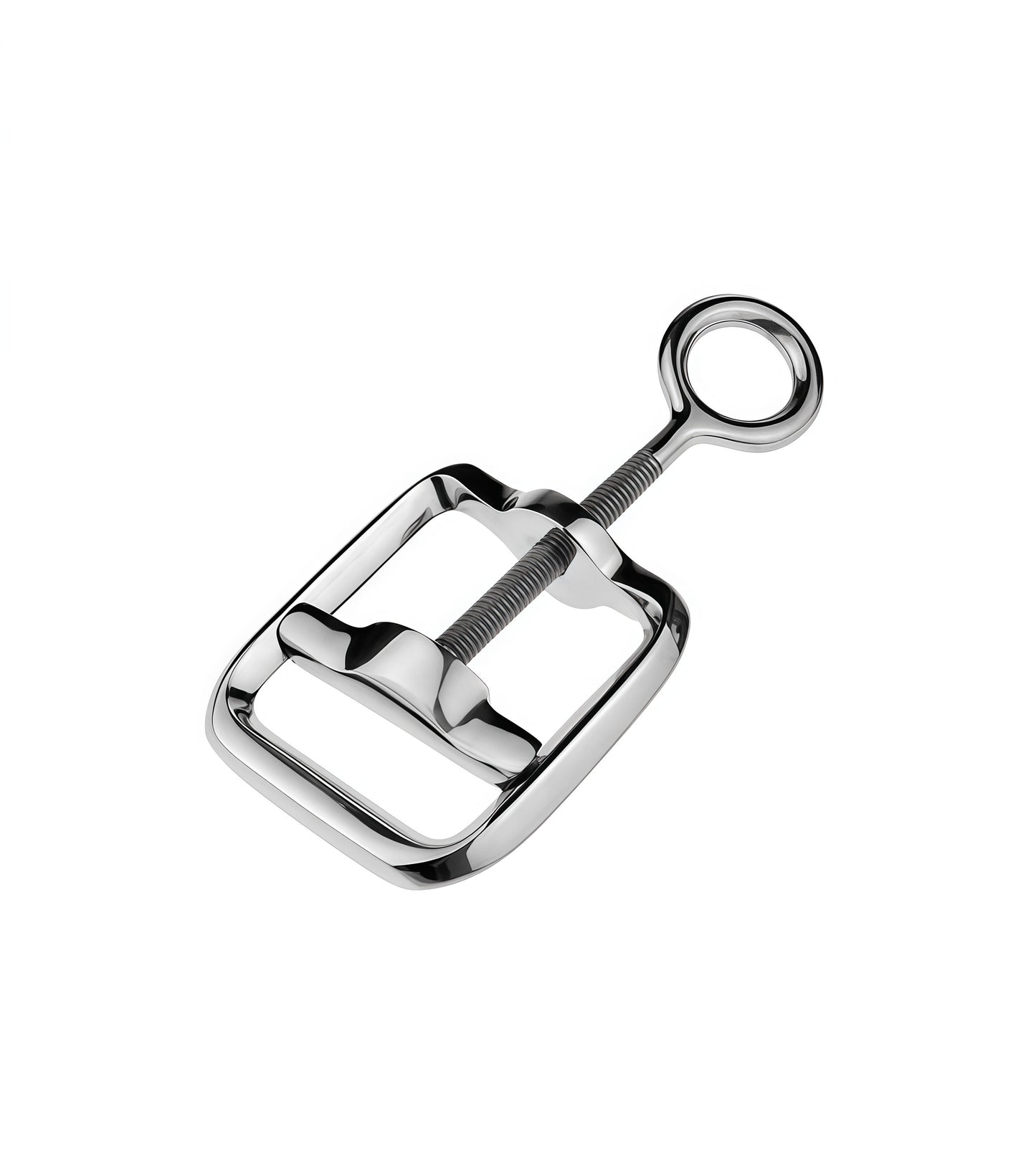 Stainless Steel Ball Crusher – Extreme CBT Restraint for Intense Pressure Play