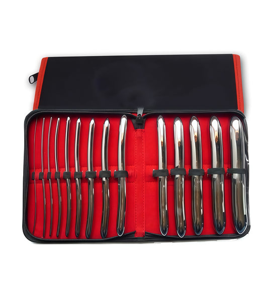 Double End Hegar Urethral Dilators – 14-Piece Stainless Steel Set