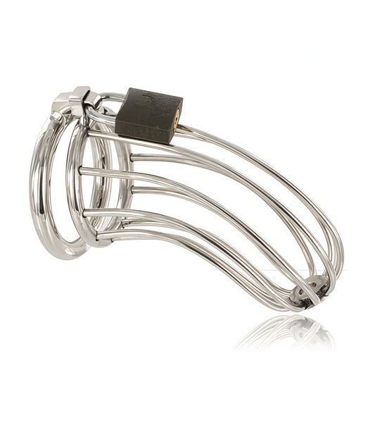 Stainless Steel Chastity Penis Cage – Ultimate Denial, Maximum Control