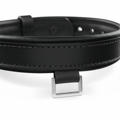Leather Collar with Horizontal Ring – Adjustable Leather Neck Collar with Center Bar Ring